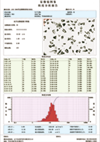 LIRI-2006顆粒圖像分析儀測試結果圖片